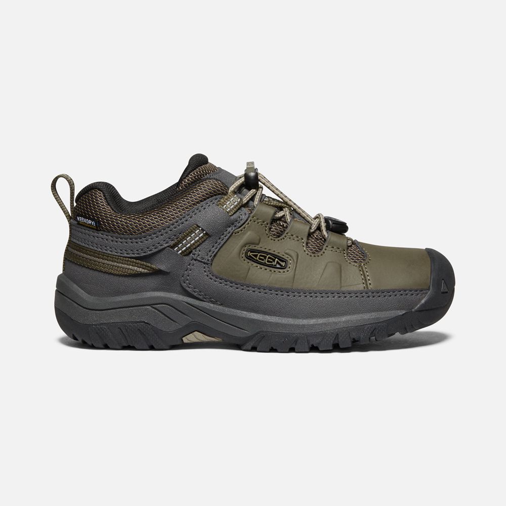 Keen Wandelschoenen Kinderen Olijfgroen - Targhee Waterproof - 27546-WHMN